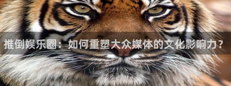 jdb电子网址：推倒娱乐圈：如何重塑大众媒体的文化影响力？