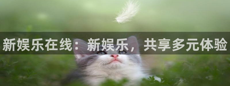 jdb电子夺宝：新娱乐在线：新娱乐，共享多元体验