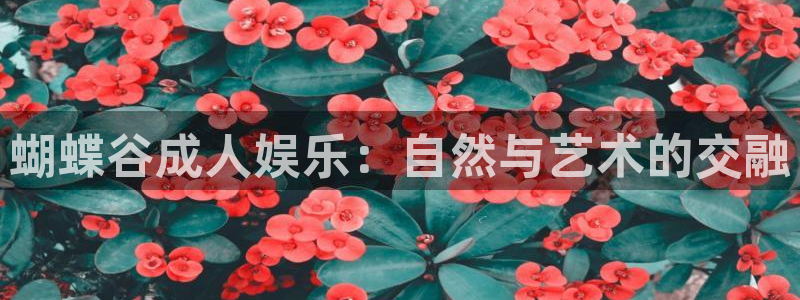 jdb电子游戏哪个容易赢：蝴蝶谷成人娱乐：自然与艺术的交融