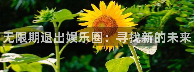 jdb电子夺宝app：无限期退出娱乐圈：寻找新的未来