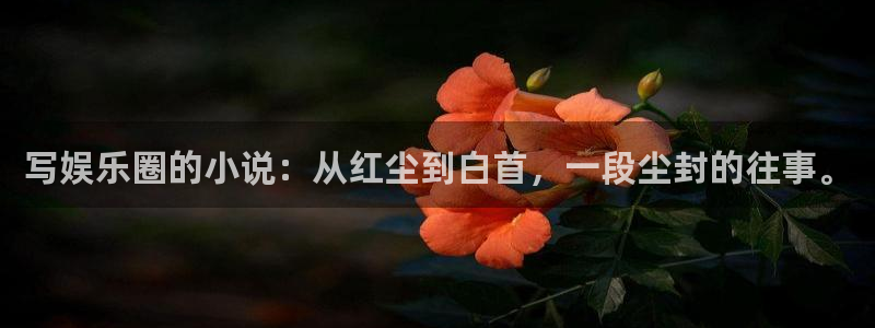 jdb电子首页平台：写娱乐圈的小说：从红尘到白首，一段尘封的往事。