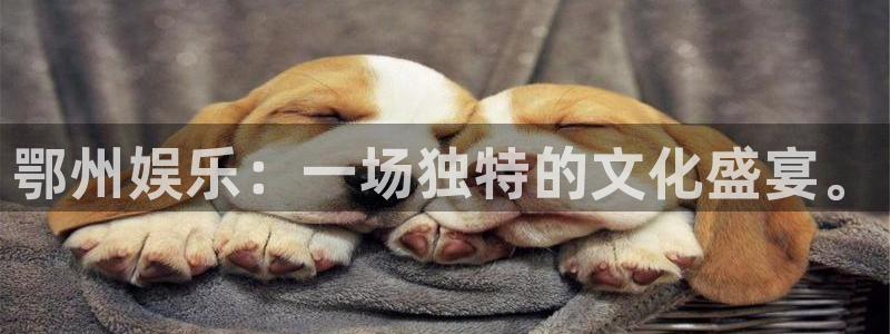 jdb电子游戏大奖：鄂州娱乐：一场独特的文化盛宴。
