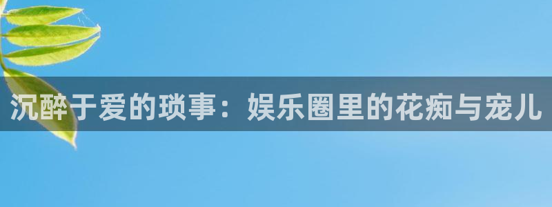 jdb电子游戏有人赢吗：沉醉于爱的琐事：娱乐圈里的花痴与宠儿