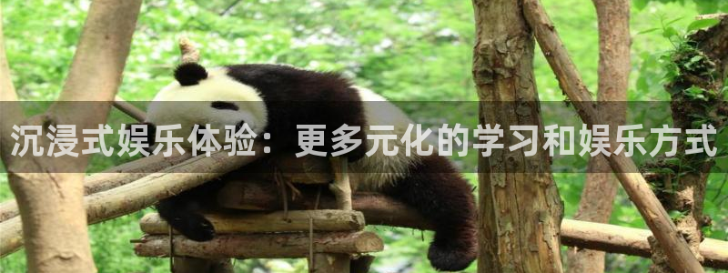 jdb电子游戏官方网站：沉浸式娱乐体验：更多元化的学习和娱乐方式