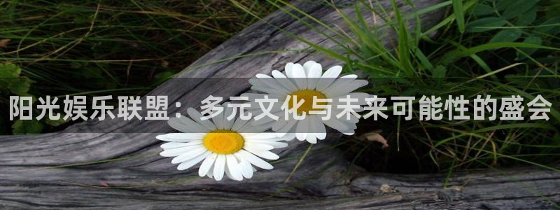 jdb电子游戏平台：阳光娱乐联盟：多元文化与未来可能性的盛会
