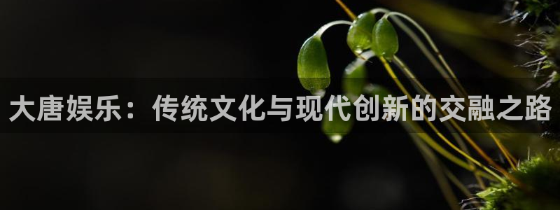 澳门jdb电子游戏