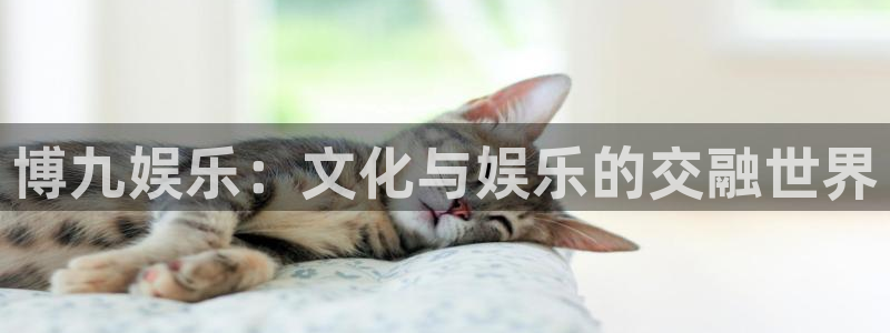 jdb容易赢的游戏：博九娱乐：文化与娱乐的交融世界
