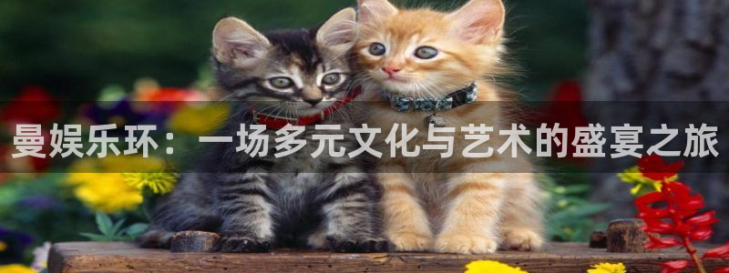 jdb电子游戏攻略：曼娱乐环：一场多元文化与艺术的盛宴之旅