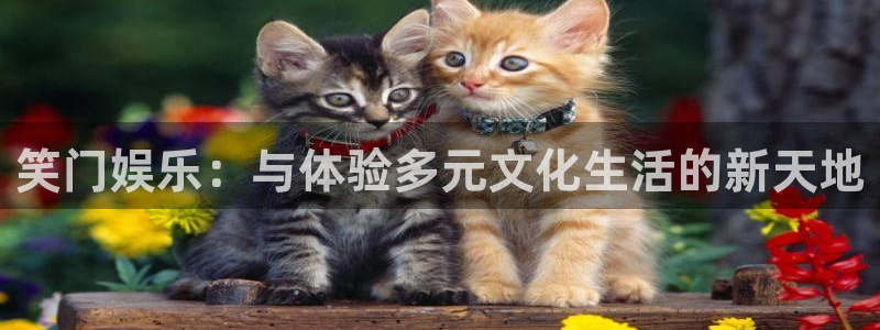 jdb电子试玩官网是什么：笑门娱乐：与体验多元文化生活的新天地