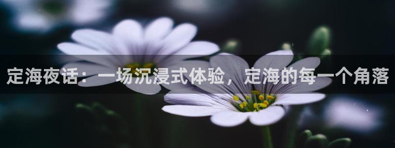jdb电子娱乐：定海夜话：一场沉浸式体验，定海的每一个角落