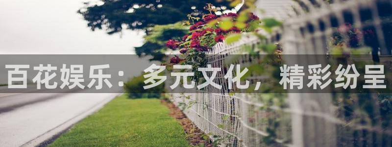 澳门jdb电子：百花娱乐：多元文化，精彩纷呈