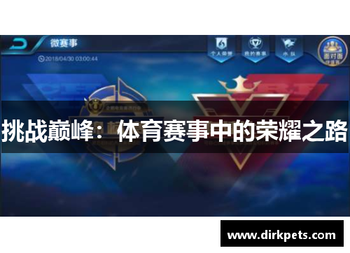 挑战巅峰：体育赛事中的荣耀之路