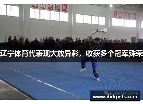 辽宁体育代表现大放异彩，收获多个冠军殊荣