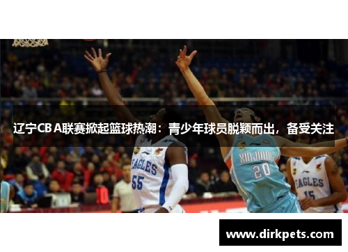 辽宁CBA联赛掀起篮球热潮：青少年球员脱颖而出，备受关注