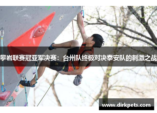 攀岩联赛冠亚军决赛：台州队终极对决泰安队的刺激之战