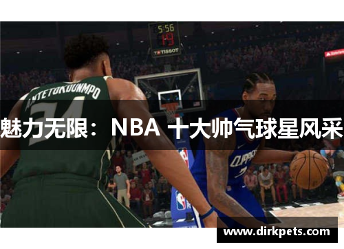 魅力无限：NBA 十大帅气球星风采