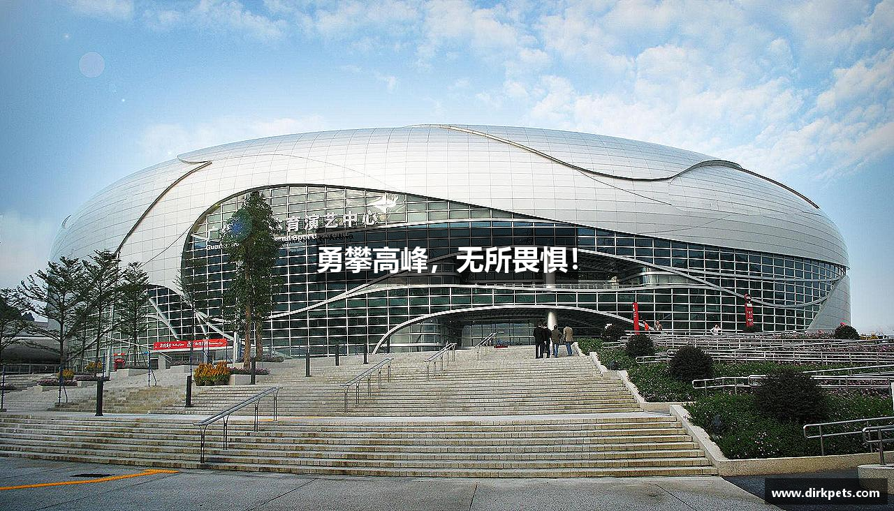 勇攀高峰，无所畏惧！